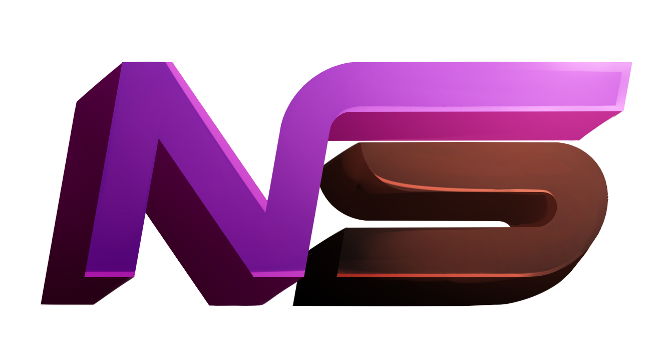 NS Logo